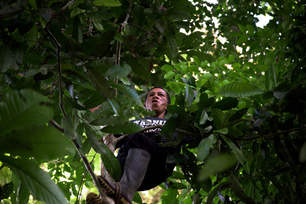 Comunidad Waorani Konipare Napo Ecuador